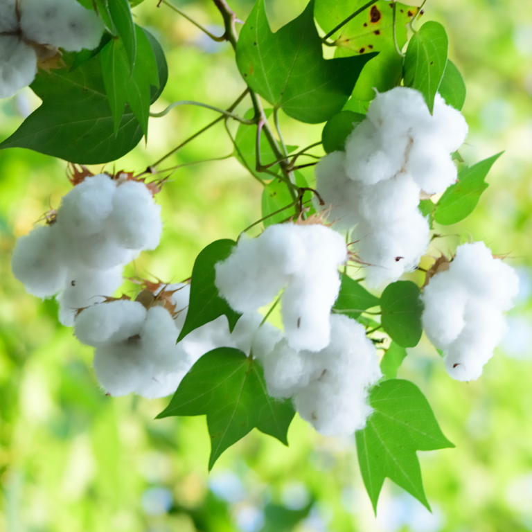 White and Green Illustrated Professional Healthcare Instagram Post (10)